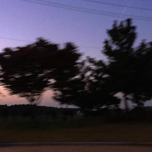 (越南女子别动队)免费
